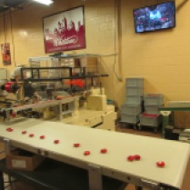 Chocolate is the way to my heart, so when I heard about the Whetstone Chocolate Factory Tour, I was all over that!